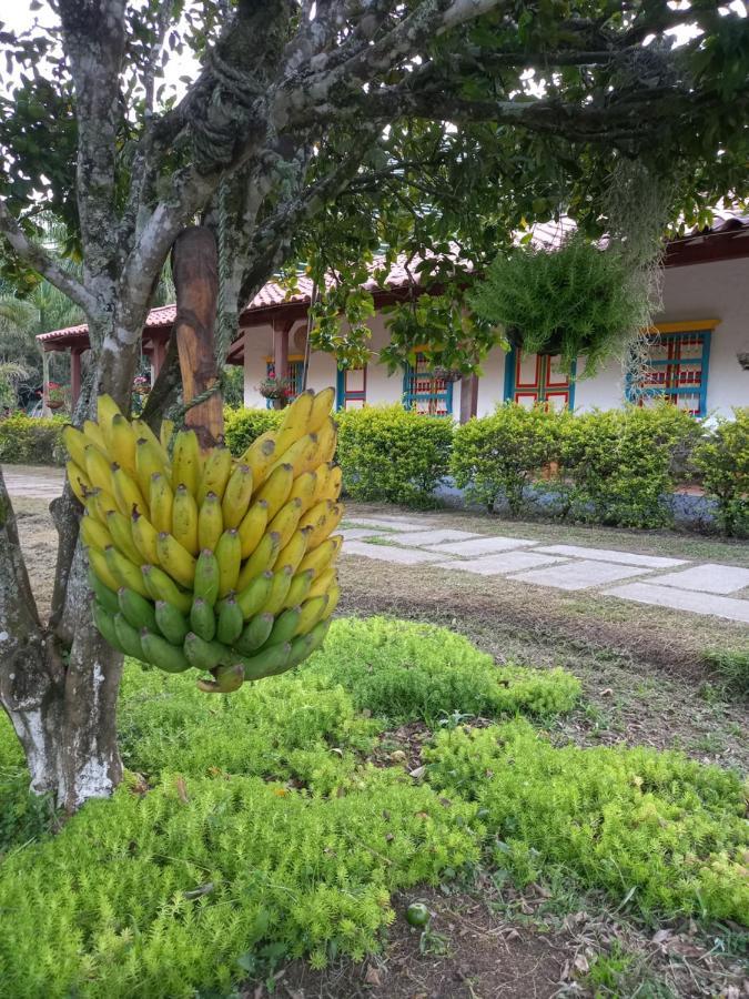 Patio Bonito Guest House Jardin Exterior photo